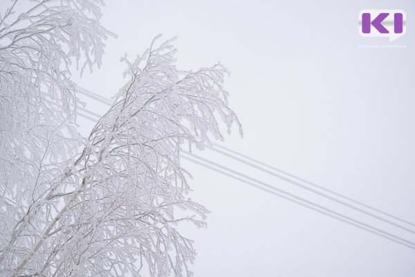 Гололедно-изморозевое отложение сохранится в нескольких районах Коми