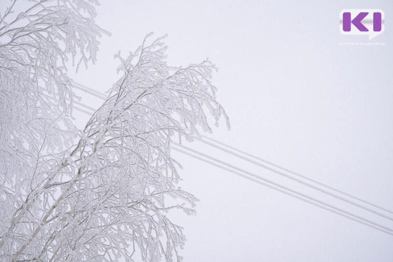 Гололедно-изморозевое отложение сохранится в нескольких районах Коми