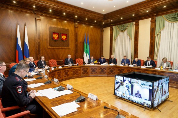 Родительские патрули в Коми усилили работу по профилактике детского травматизма на дорогах