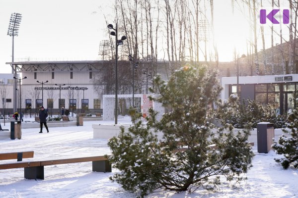 Погода в Коми 24 декабря: на юге до +1°С, в Воркуте - 15...-20°С