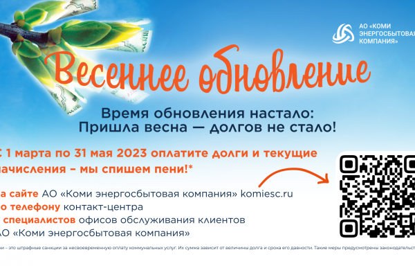 Коми энергосбытовая компания спишет пени участникам акции 