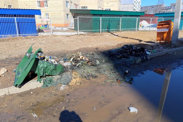 Справились с морозами, но не с вандалами: кто и зачем поджигает новенькие мусорные контейнеры в городах Коми