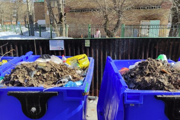 Извечный спор: кто должен вывозить спиленные ветки и мусор после субботников