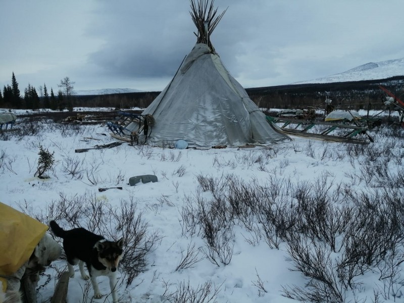 В Инте спасатели сутки вывозили травмированного оленевода 