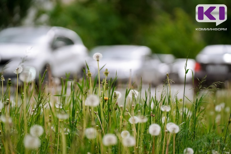 Погода в Коми 19 июня: ветрено, +9...+14°С