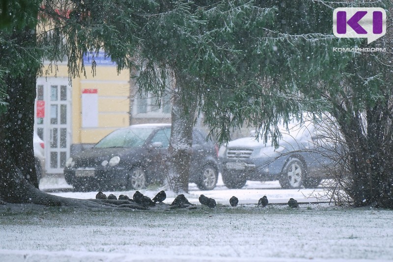 Погода в Коми 27 октября: небольшой снег, 0...-5°С