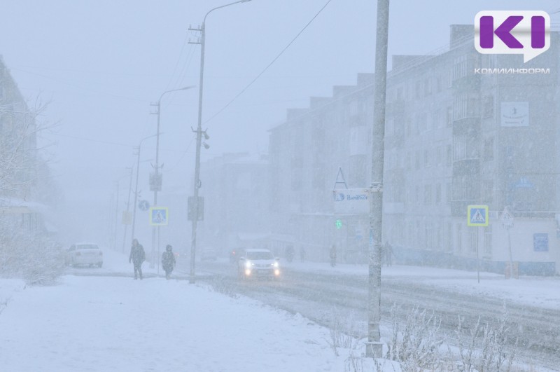 Погода в Коми 20 февраля: порывистый ветер, метель, -3...-8°С