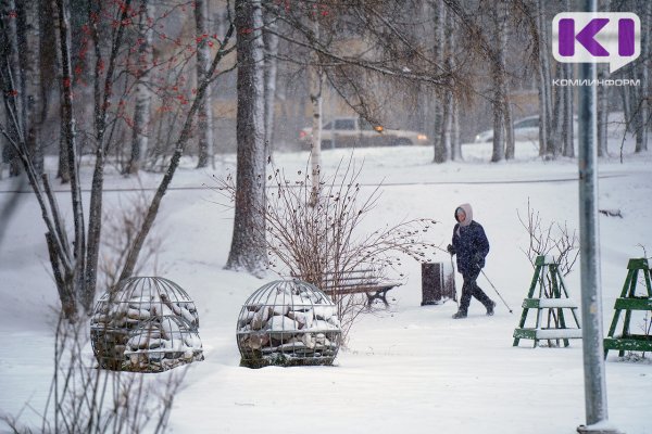 Погода в Коми 10 декабря: метель, гололед, -1...-6°С