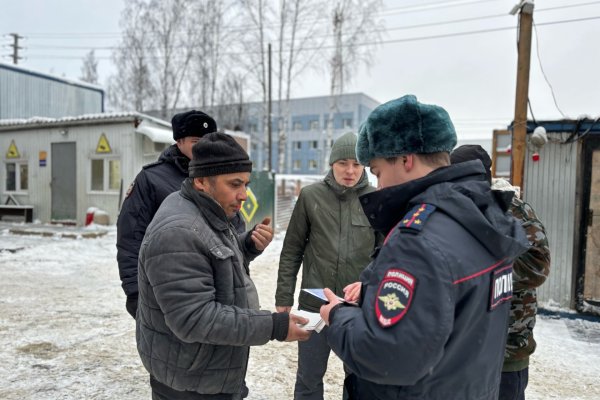 Полиция Сыктывкара искала нелегальных мигрантов на рынках и строительных объектах