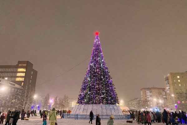 Яркие ёлочки и самодельные арт-объекты: как города и районы Коми подготовились к Новому году 