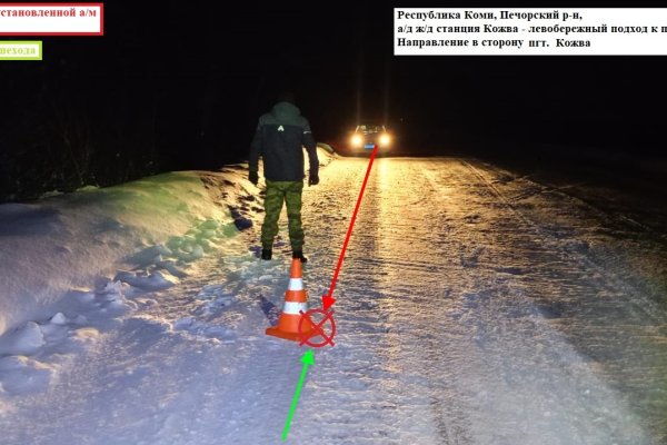 Под Печорой неустановленный водитель сбил 72-летнего пенсионера и скрылся с места ДТП