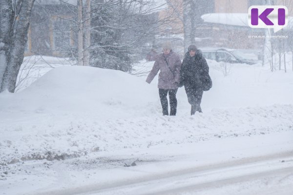 В девяти южных районах Коми ожидается сильный снег, на крайнем юге с дождем