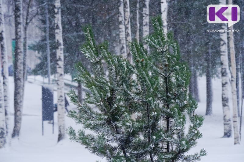 Погода в Коми 7 января: небольшой снег, в Воркуте метель