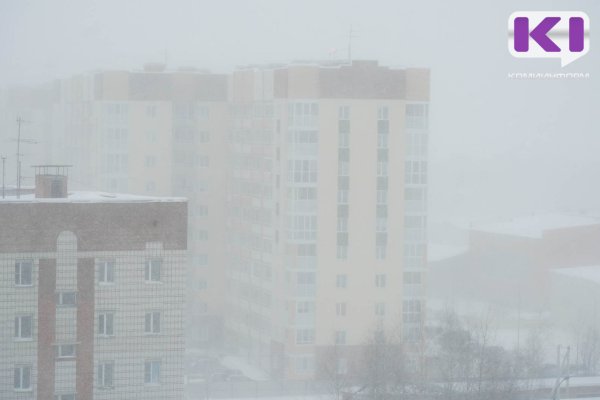 В большинстве районов Коми повалит сильный снег