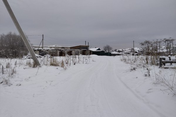 Право застроить территорию для комплексного развития в Визинге выставлено на аукцион