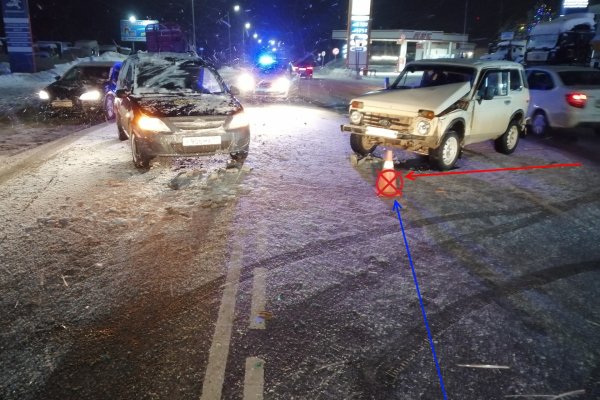 В Сыктывдинском районе пенсионер на 