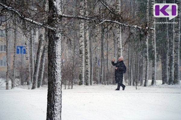 Погода в Коми 19 января: температура поднимется выше нуля