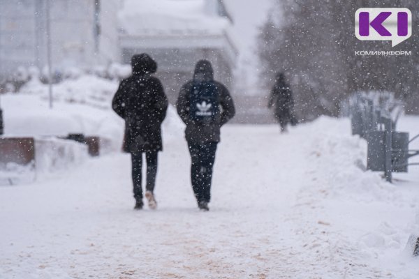 Погода в Коми 24 января: небольшой снег, - 6°С