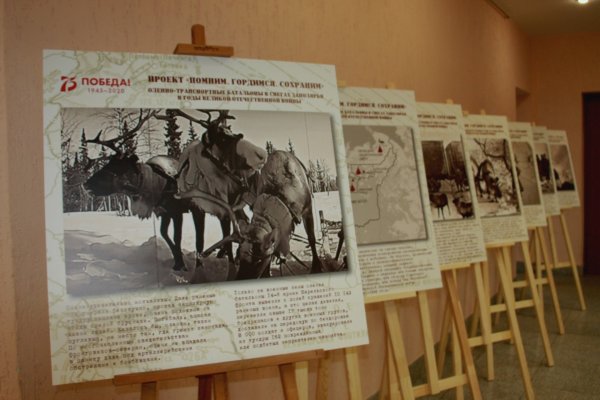 Журналисты в Коми отправятся по местам оленных батальонов