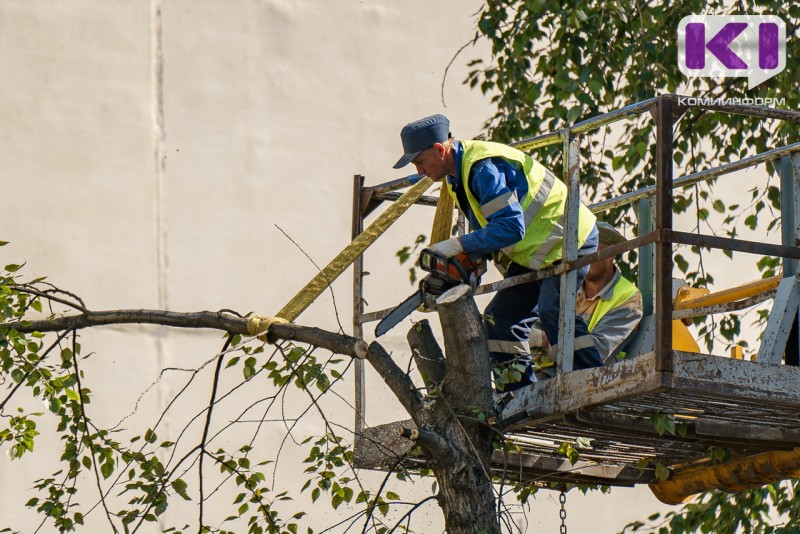 В Сыктывдинском районе завершено расследование уголовного дела о получении тяжелой производственной травмы