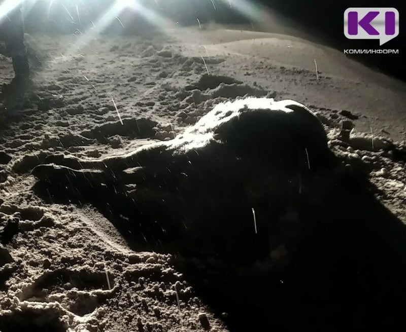 "Роман, стой!": в Прилузье развернулся остросюжетный триллер с погоней за браконьером