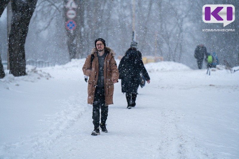 Погода в Коми 5 февраля:небольшой снег, -4°С