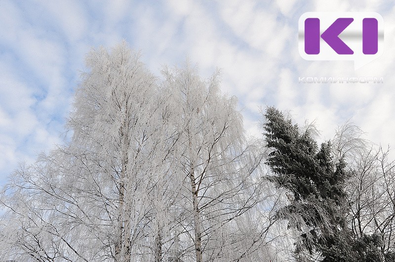 Погода в Коми 6 февраля: без существенных осадков