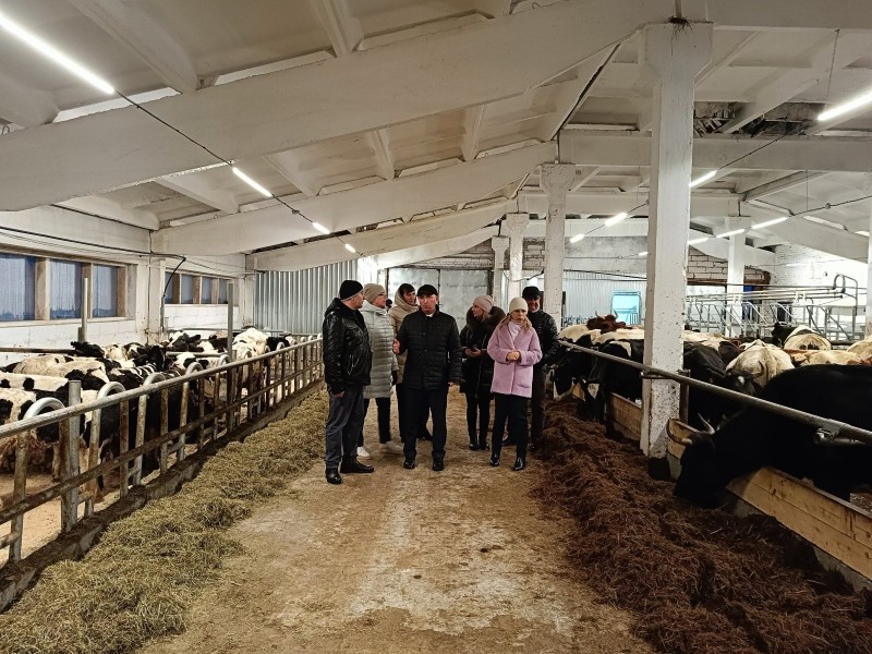 В Усть-Вымском фермер на средства гранта перевел крупный рогатый скот на технологию беспривязного содержания