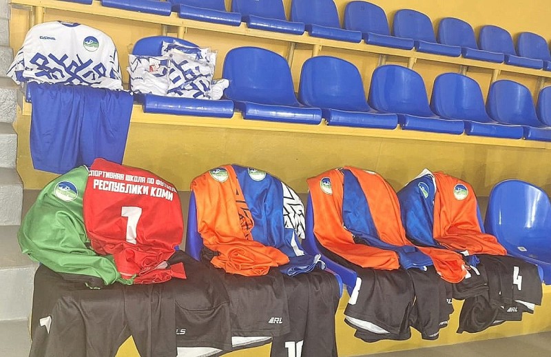 Федеральный проект "Спорт – норма жизни" помог спортшколам Коми обновить инвентарь и оборудование