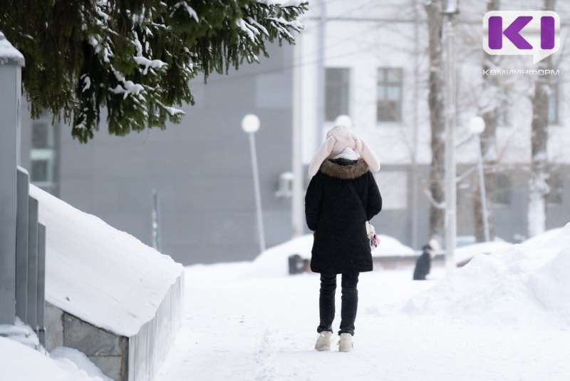 Погода в Коми 21 февраля: небольшой снег, - 8°С 