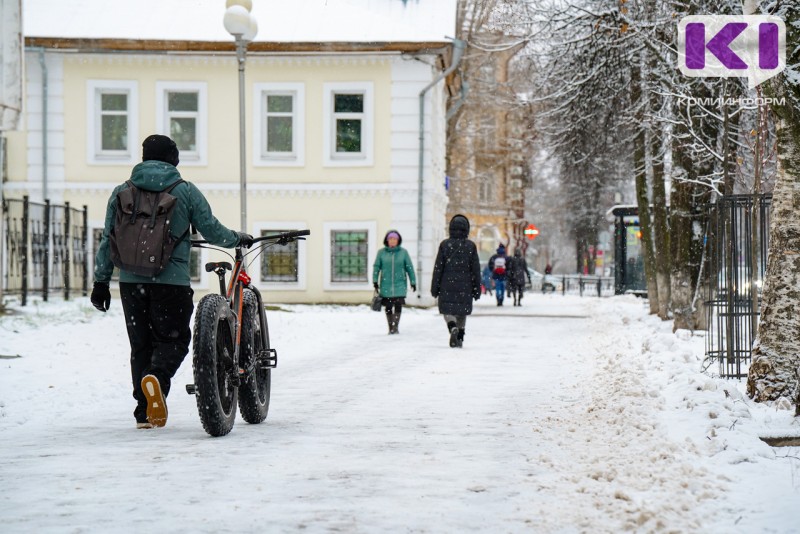 Погода в Коми 24 февраля: на севере оттепель со снегом и дождем