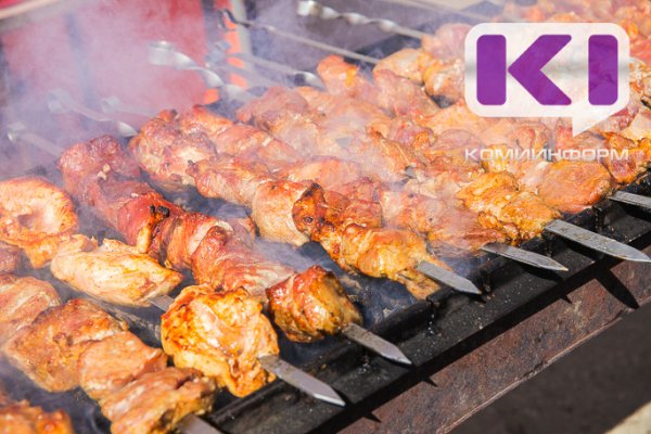 Ухтинскому бизнесмену выдали предостережение за продажу шашлыка с нарушениями
