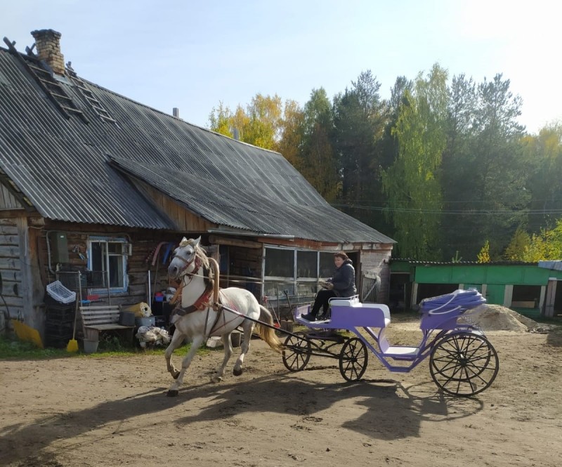 Коми – на третьем месте в СЗФО по приросту туристов

