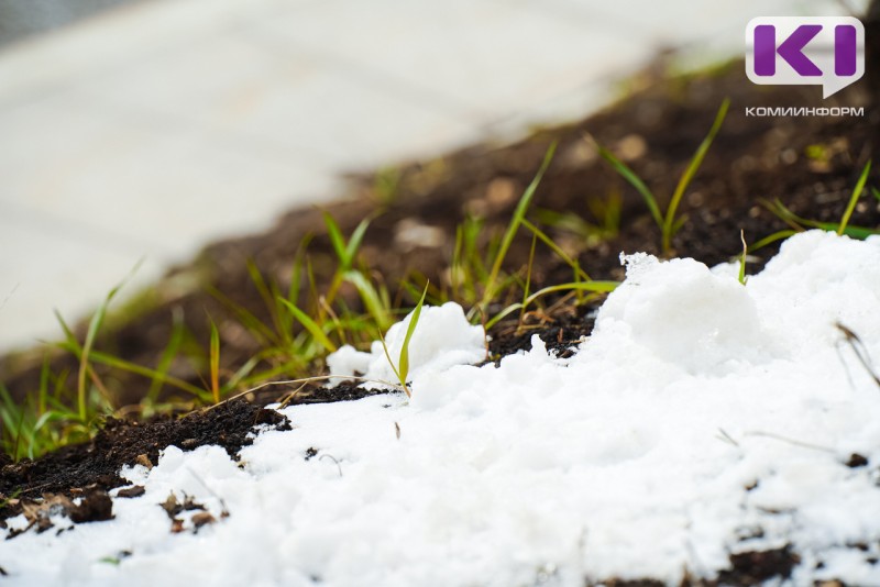 Погода в Коми 1 марта: небольшой снег, +2°С