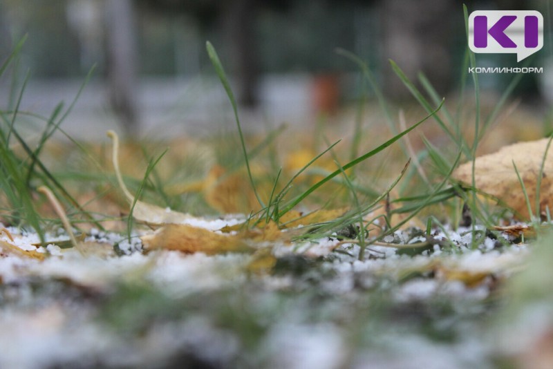 Синоптики Коми предупреждают о выпревании озимых культур под снегом