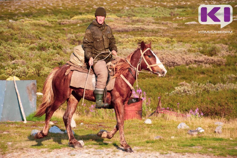 Альтернативную военную службу можно пройти дояром, оленеводом и даже рыбаком - Минсельхоз Коми