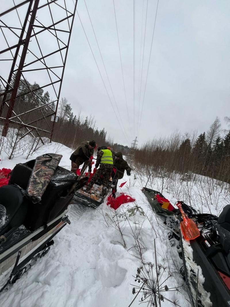 Сыктывкарские охотники отогнали волков от дырносских дач