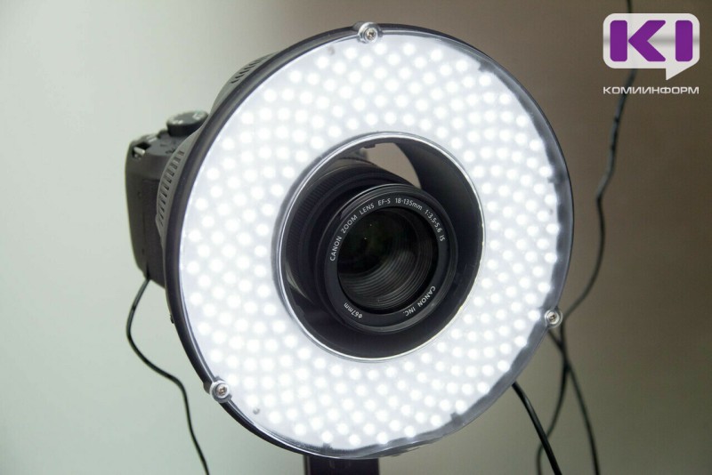 Присвоившая средства социального контракта 22-летняя сыктывкарка выслушала приговор