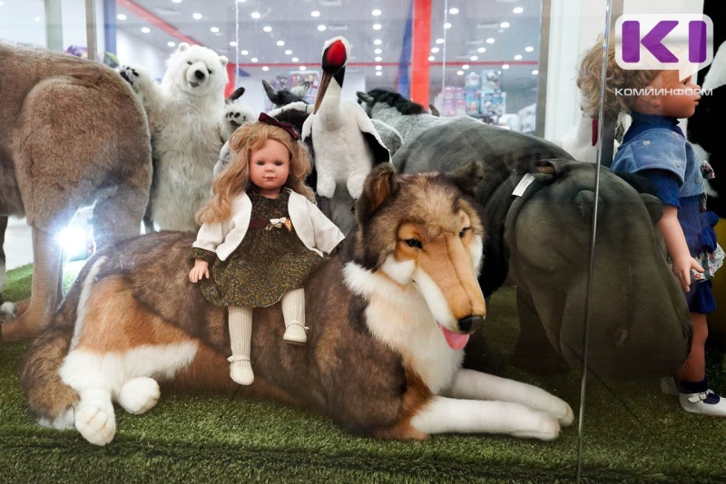 17-летняя жительница Печоры хотела расширить свою коллекцию игрушек, но стала жертвой афериста