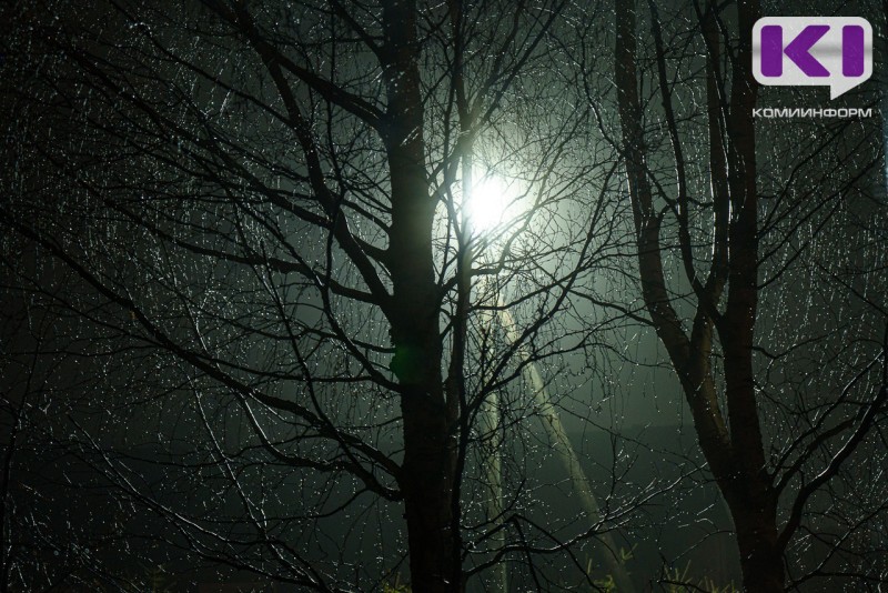 Я сама: женщина дошла из Троицко-Печорска в Мылву в кромешной темноте