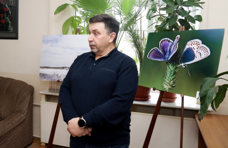 Черные коллекционеры регулярно продают редких бабочек из Коми на аукционах - необходима охранная инициатива 