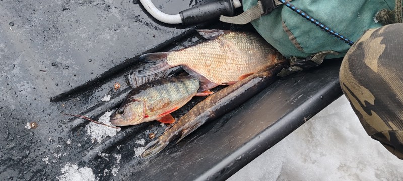 На "коми-море" в заказнике Дон-ты поймали браконьеров