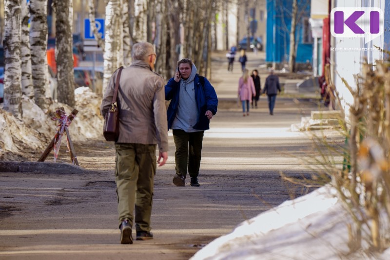 Погода в Коми 17 апреля: на севере метель и штормовой ветер, на юге +15°С
