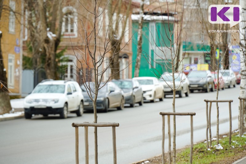 Погода в Коми 23 апреля: +4...+9°С, на крайнем северо-востоке -4...+1°С