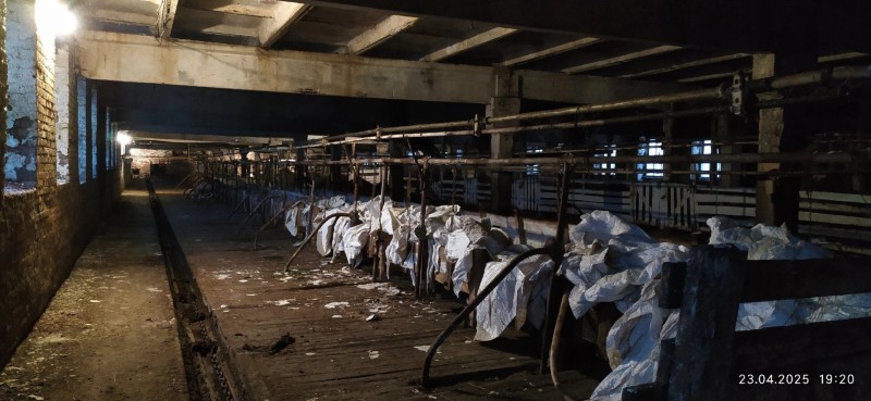 "Коровник опустел": из кооператива "Княжпогостский" вывезли крупный рогатый скот

