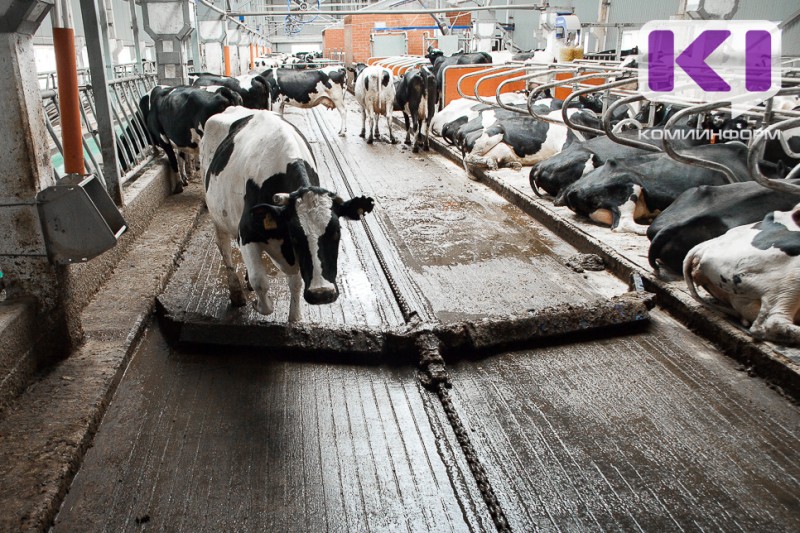 Минфин Коми призывает провести срочную инвентаризацию субсидий в отрасли сельского хозяйства 