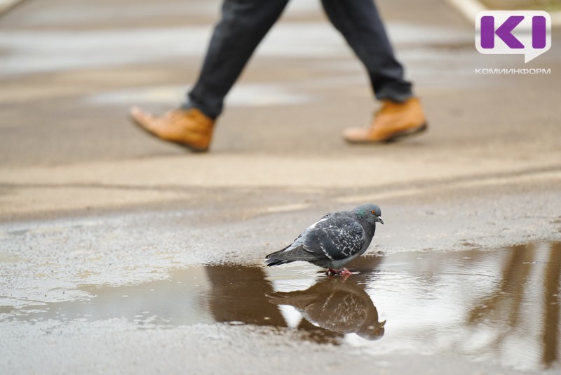 Погода в Коми 25 апреля: небольшой мокрый снег, дождь