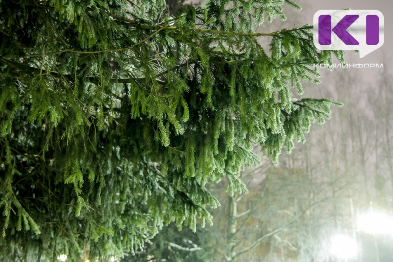 Погода в Коми 27 апреля: в северных районах сильный снег, в южных без существенных осадков