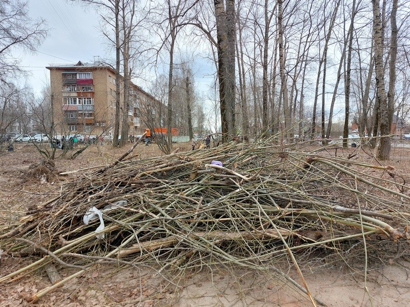 Не все организации откликнулись на призыв выйти на общегородской субботник - мэрия Сыктывкара