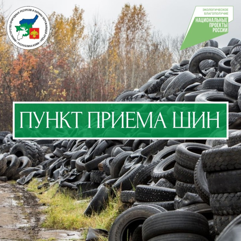 Минприроды Коми сообщает об успешной работе пункта приема отработанных шин в Сыктывкаре